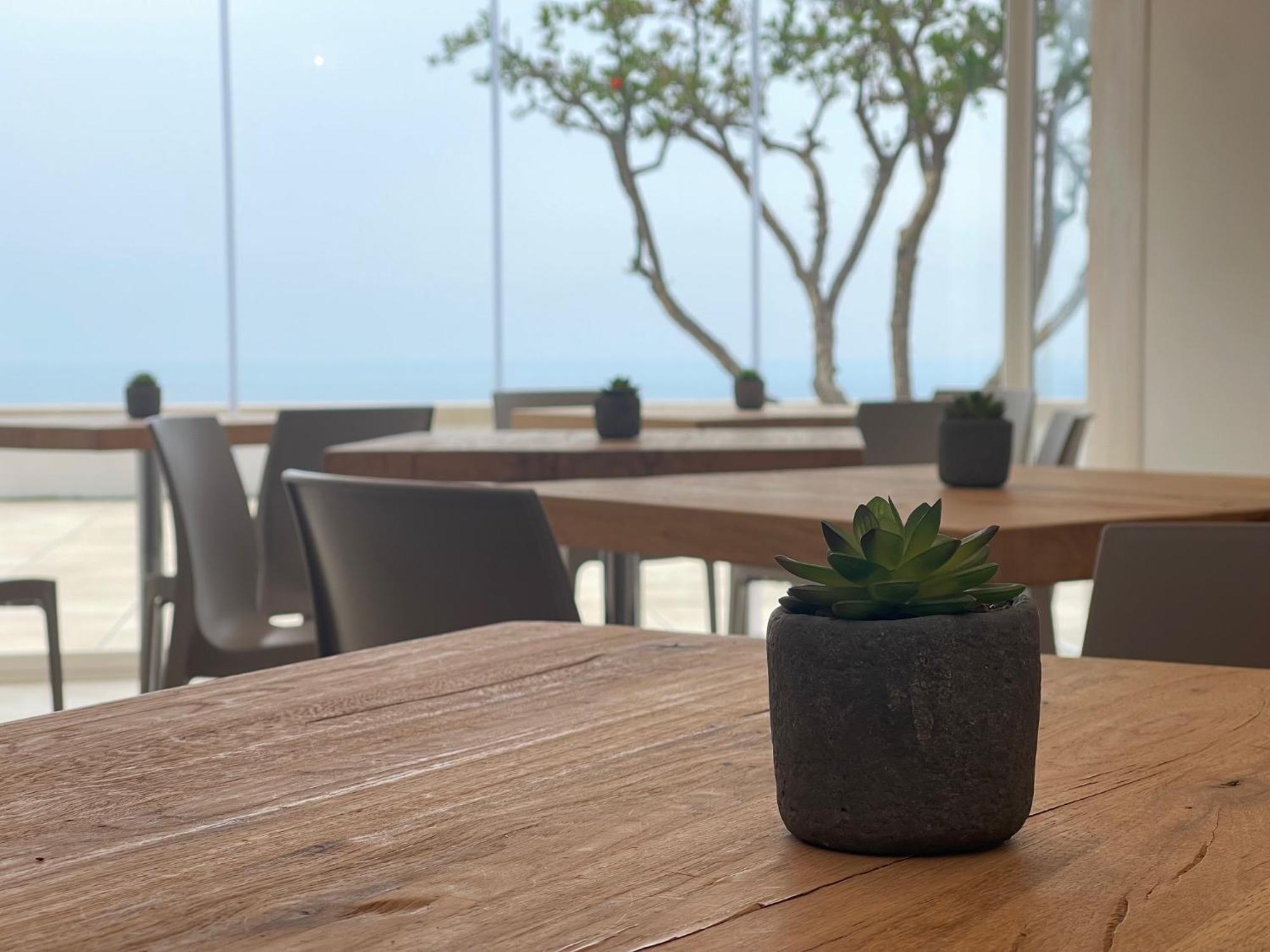 Daedalium Bed & Breakfast Marina di Palma Luaran gambar
